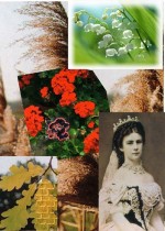 Híres történelmi személyek híres virágai